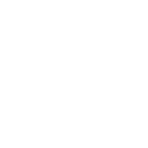 globe icon